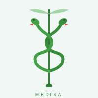 NG体育 Logo